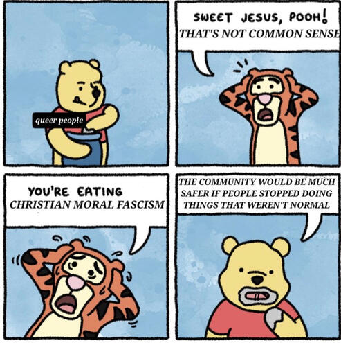 Christian Moral Facism by Gays